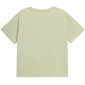 Sieviešu T-krekls Outhorn gaiši zaļš HOL22 TSD606 42S cena un informācija | Blūzes, sieviešu krekli | 220.lv