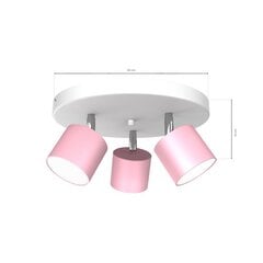 Griestu lampa DIXIE PINK 3xGX53 cena un informācija | Griestu lampas | 220.lv