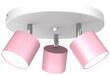 Griestu lampa DIXIE PINK 3xGX53 cena un informācija | Griestu lampas | 220.lv