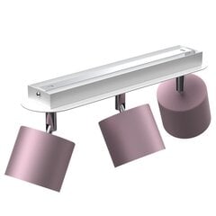 Griestu lampa DIXIE PINK 3xGX53 cena un informācija | Griestu lampas | 220.lv