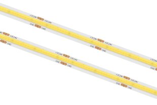 LED lente COB 24V 10W 6000K IP20 1060lm Ra90 10m цена и информация | Светодиодные ленты | 220.lv