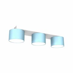 Griestu lampa DIXIE Blue/White 3xGX53 цена и информация | Потолочные светильники | 220.lv