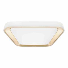 Griestu lampa QUADRO GOLD 38W цена и информация | Потолочные светильники | 220.lv