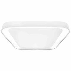 Eko-Light griestu lampa QUADRO WHITE 38W цена и информация | Потолочные светильники | 220.lv