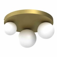 Потолочный светильник Milagro Bibione Gold цена и информация | Потолочные светильники | 220.lv