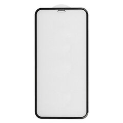 Защитное стекло Hard 5D - iPhone 12 Mini цена и информация | Защитные пленки для телефонов | 220.lv