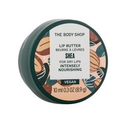 Бальзам для губ The Body Shop Shea 10 мл цена и информация | Помады, бальзамы, блеск для губ | 220.lv