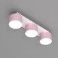 Griestu lampa DIXIE Pink/White 3xGX53 cena un informācija | Griestu lampas | 220.lv