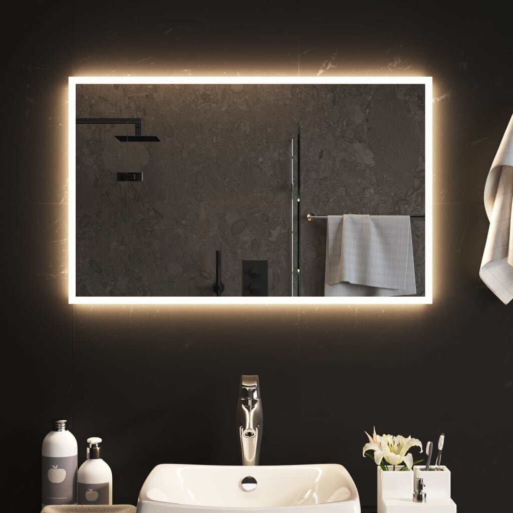 LED vannas istabas spogulis, 80x50cm cena un informācija | Spoguļi | 220.lv