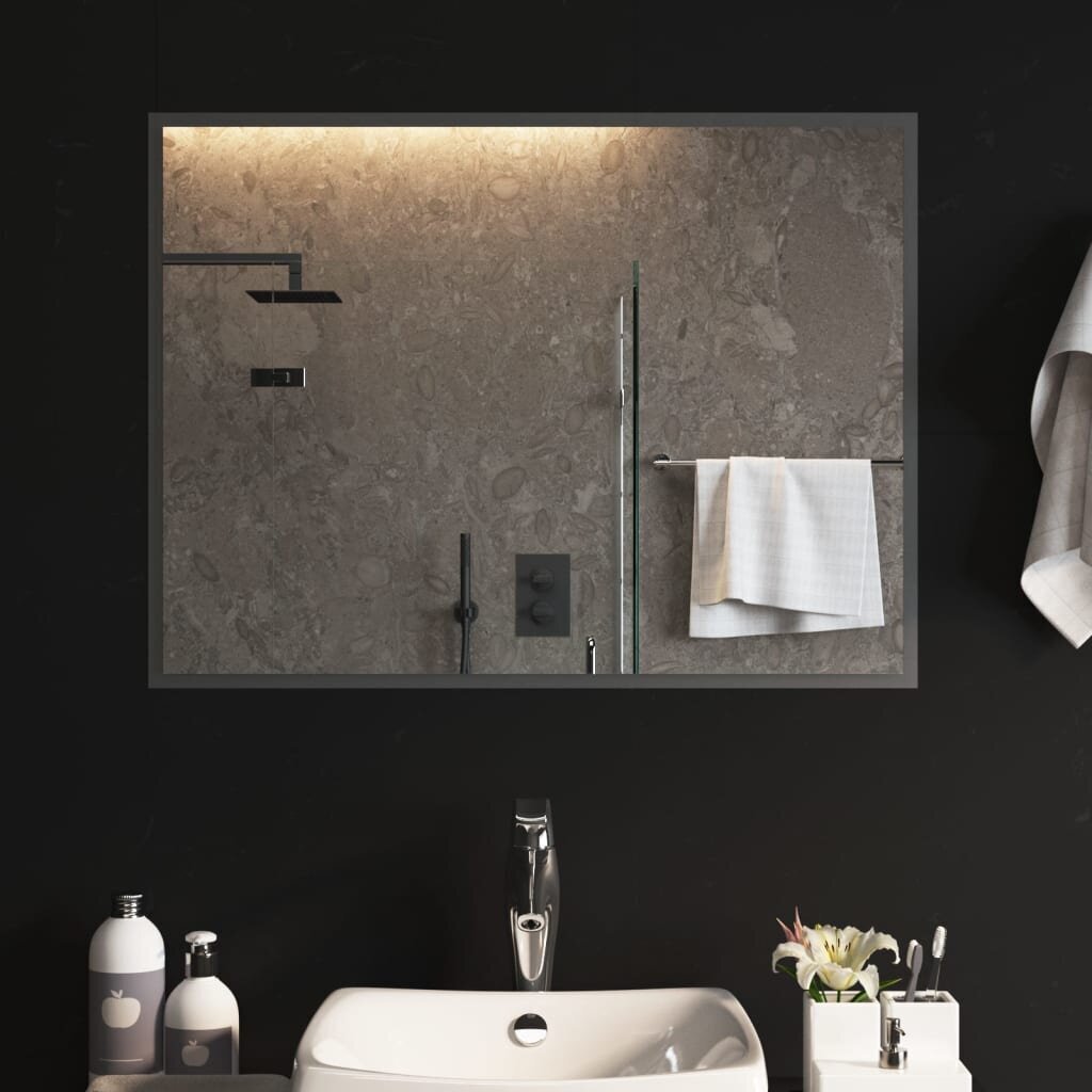 LED vannas istabas spogulis, 80x60cm цена и информация | Spoguļi | 220.lv