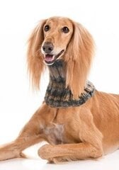 Теплый и красивый шарф для собаки/круглый шарф из мягкой полушерсти цена и информация | Одежда для собак | 220.lv