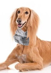 Silta un skaista suņu šalle / apaļ šalle no mīkstas pusvilnas cena un informācija | Apģērbi suņiem | 220.lv
