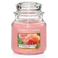 Yankee Candle Sun-Drenched Apricot Rose Candle - Scented svece, 104.0g