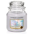 Yankee Candle Sweet Nothings Candle - A scented svece, 104.0g