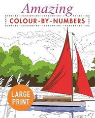 Amazing Colour-by-Numbers Large Print цена и информация | Книги об искусстве | 220.lv