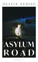 Asylum Road цена и информация | Фантастика, фэнтези | 220.lv