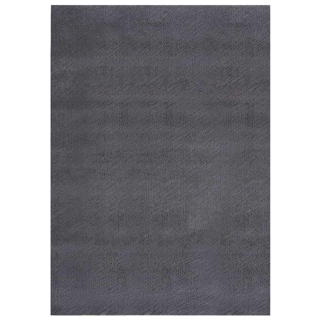 Pinkains paklājs, antracīta, 120x170cm, neslīdošs cena un informācija | Paklāji | 220.lv