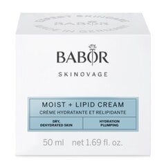 Mitrinošs lipīdu sejas krēms Babor Skinovage Moist+Lipid Cream, 50 ml цена и информация | Кремы для лица | 220.lv