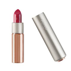 Блестящая помада с полупрозрачным оттенком Kiko Milano Glossy Dream Sheer Lipstick, 206 Sangria цена и информация | Помады, бальзамы, блеск для губ | 220.lv