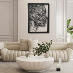 3D metāla sienas dekorācija Face 85x60 cm cena un informācija | Gleznas | 220.lv