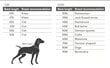 Pēcoperācijas trikotāžas tērps kaķim цена и информация | Apģērbi suņiem | 220.lv