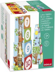 10 развивающих кубиков, Forest Goula, 55219 цена и информация | Развивающие игрушки | 220.lv