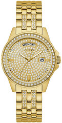 Часы Guess GW0254L2 цена и информация | Женские часы | 220.lv