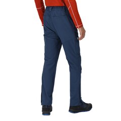 Мужские водоотталкивающие штаны Questra IV Stretch Trousers цена и информация | Мужская спортивная одежда | 220.lv