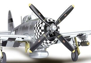 Tamiya TAMIYA P-47D Thunderbolt Bubbletop цена и информация | Коллекционные модели автомобилей | 220.lv