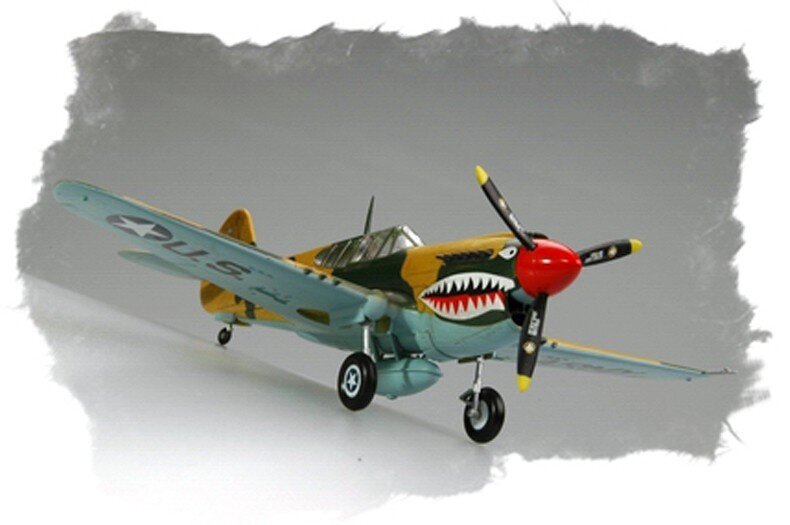Hobby Boss Plastmasas modelis P-40E Kitty hawk cena un informācija | Kolekcionējamie modeļi | 220.lv
