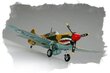Hobby Boss Plastmasas modelis P-40E Kitty hawk cena un informācija | Kolekcionējamie modeļi | 220.lv