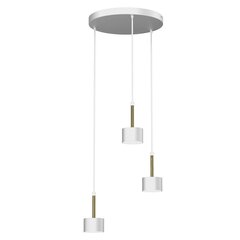 Piekaramā lampa ARENA WHITE/GOLD 3xGX53 цена и информация | Люстры | 220.lv