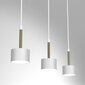 Piekaramā lampa ARENA WHITE/GOLD 3xGX53 цена и информация | Lustras | 220.lv