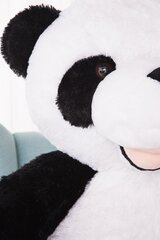 Liela Plīša Panda Pado 160 cm, Pelēka, Mīkstā Rotaļlieta cena un informācija | Mīkstās (plīša) rotaļlietas | 220.lv