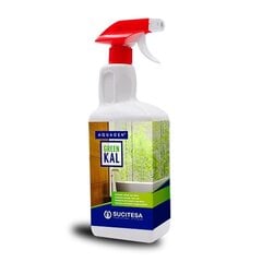 Kaļķakmens noņēmējs AQUAGEN GREENKAL FOAM 750ml цена и информация | Очистители | 220.lv