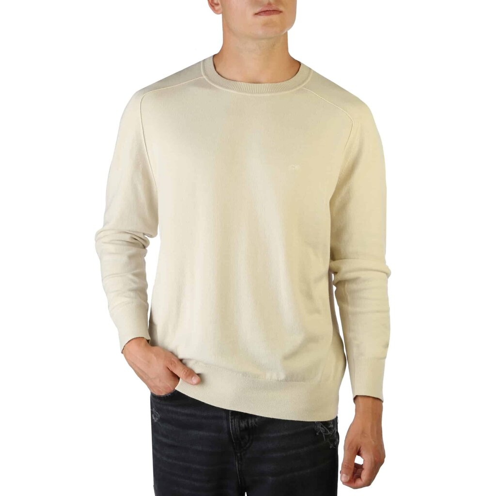 Džemperis vīriešiem Calvin Klein K10K110477 цена и информация | Vīriešu džemperi | 220.lv