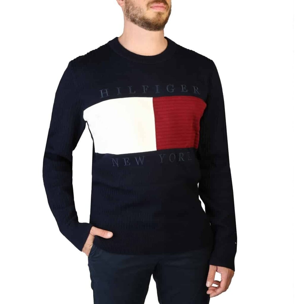 Džemperis vīriešiem Tommy Hilfiger MW0MW25413_0GY цена и информация | Vīriešu džemperi | 220.lv