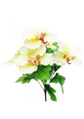 Mākslīgo orhideju pušķis cena un informācija | Mākslīgie ziedi | 220.lv
