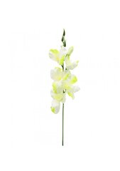 Mākslīgā gladiola cena un informācija | Mākslīgie ziedi | 220.lv