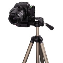 Штатив Hama Star 41750 цена и информация | Аксессуары для видеокамер | 220.lv