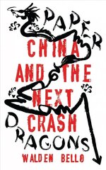 Paper Dragons: China and the Next Crash цена и информация | Книги по экономике | 220.lv