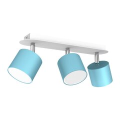 Milagro Griestu lampa DIXIE BLUE 3xGX53 цена и информация | Потолочные светильники | 220.lv