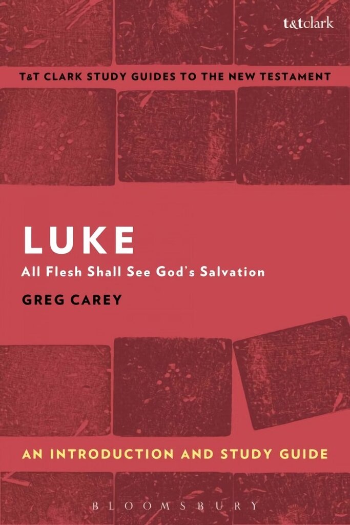 Luke: An Introduction and Study Guide: All Flesh Shall See God's Salvation cena un informācija | Garīgā literatūra | 220.lv