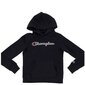 Džemperis champion rochester hooded sweatshirt 404225kk001 цена и информация | Zēnu jakas, džemperi, žaketes, vestes | 220.lv
