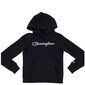 Džemperis champion rochester hooded sweatshirt 404225kk001 cena un informācija | Zēnu jakas, džemperi, žaketes, vestes | 220.lv