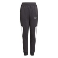 SWEATPANTS ADIDAS PERFORMANCE B FI 3S TAP P GT9433 цена и информация | Штаны для мальчика ABN-2894/CZA/098 | 220.lv