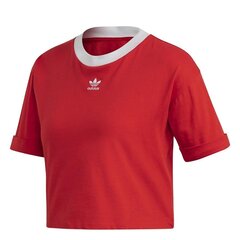 T-SHIRT ADIDAS ORIGINALS CROP TOP FM3258 цена и информация | Женские футболки | 220.lv