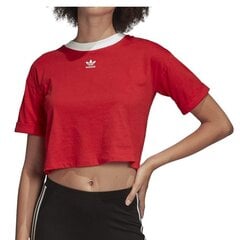 T-krekls adidas originals crop top fm3258 цена и информация | Женские футболки | 220.lv