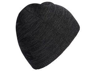 WINTER HAT ADIDAS CORE DAILY BEANIE LT DN8445 цена и информация | Женские шапки | 220.lv