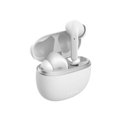 Forever Bluetooth ANC earphones TWE-210 Earp white cena un informācija | Austiņas | 220.lv